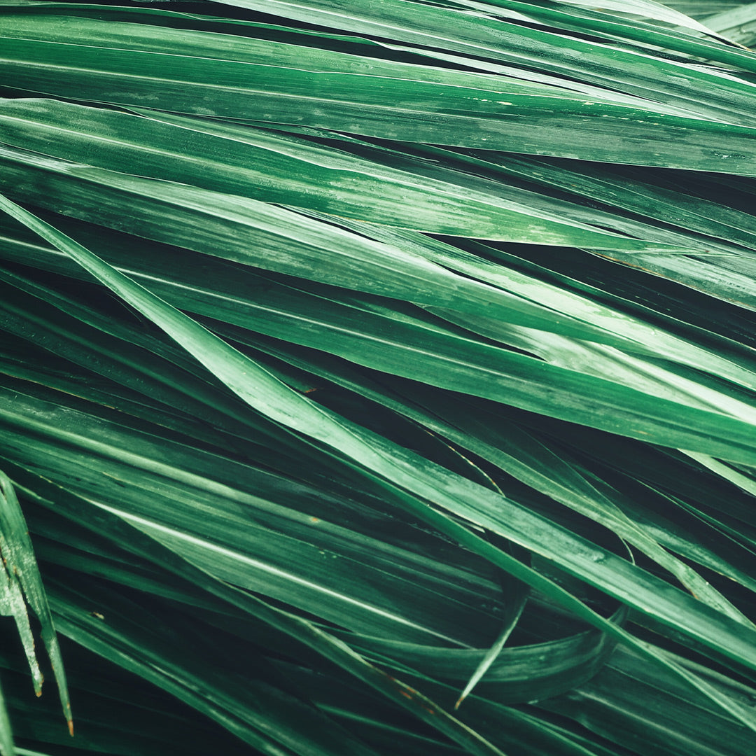 162M Eternal Love For Him - Chogan Parfum